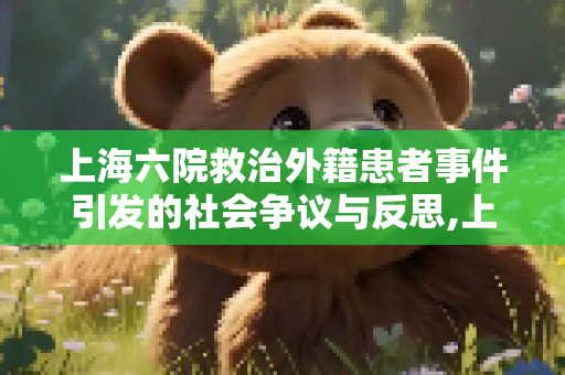 上海六院救治外籍患者事件引发的社会争议与反思,上海六院救治外籍患者被质疑