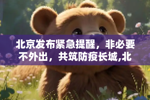北京发布紧急提醒，非必要不外出，共筑防疫长城,北京紧急提醒:非必要不外出