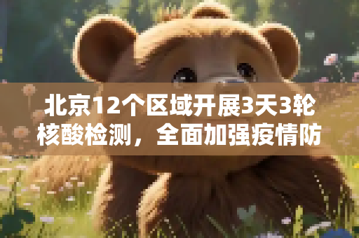 北京12个区域开展3天3轮核酸检测，全面加强疫情防控,北京12个区域开展3天3轮核酸
