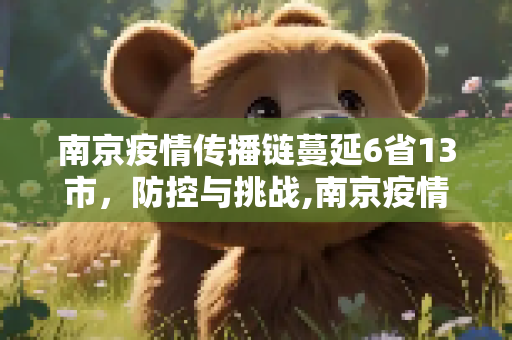 南京疫情传播链蔓延6省13市，防控与挑战,南京疫情传播链蔓延6省13市