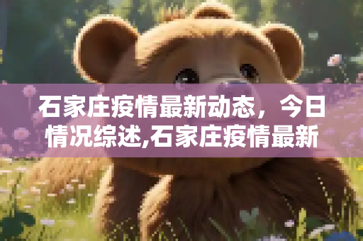 石家庄疫情最新动态，今日情况综述,石家庄疫情最新消息今天