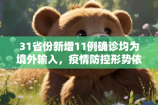 31省份新增11例确诊均为境外输入，疫情防控形势依然严峻,31省份新增11例确诊均为境外输入