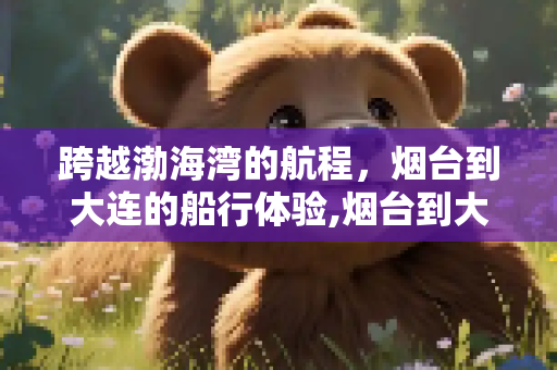 跨越渤海湾的航程，烟台到大连的船行体验,烟台到大连船