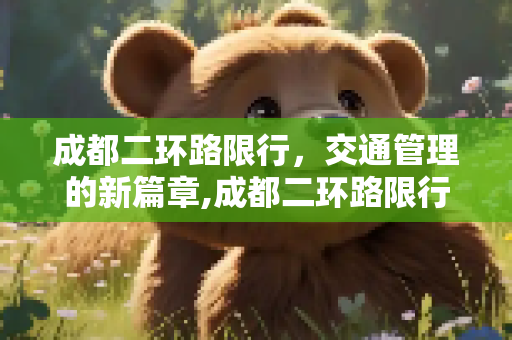 成都二环路限行，交通管理的新篇章,成都二环路限行