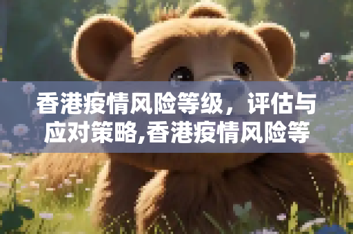 香港疫情风险等级，评估与应对策略,香港疫情风险等级