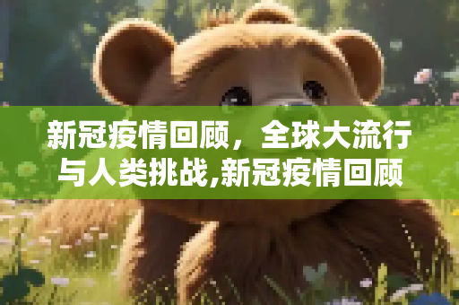 新冠疫情回顾，全球大流行与人类挑战,新冠疫情回顾