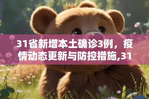 31省新增本土确诊3例，疫情动态更新与防控措施,31省新增本土确诊3例