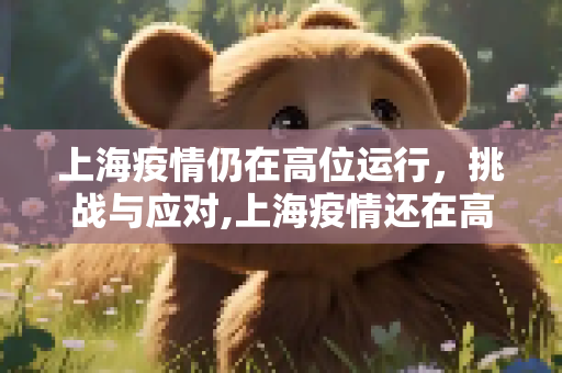 上海疫情仍在高位运行，挑战与应对,上海疫情还在高位运行