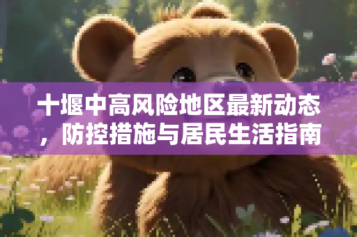 十堰中高风险地区最新动态，防控措施与居民生活指南,十堰中高风险地区最新