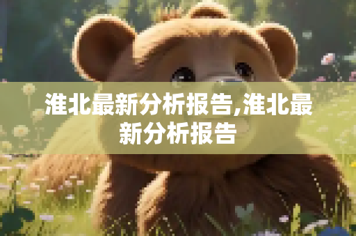 淮北最新分析报告,淮北最新分析报告