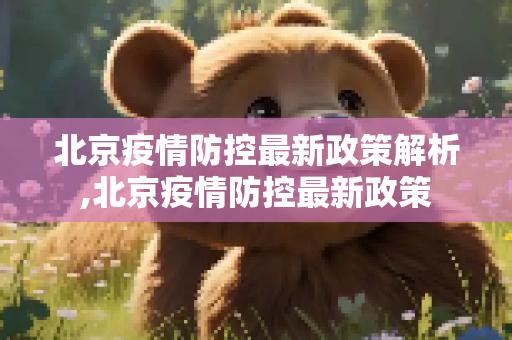 北京疫情防控最新政策解析,北京疫情防控最新政策