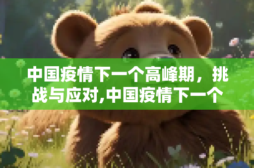 中国疫情下一个高峰期，挑战与应对,中国疫情下一个高峰期