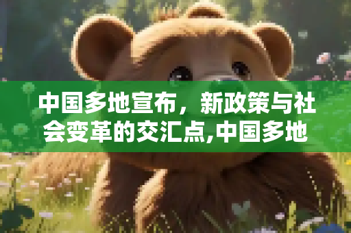 中国多地宣布，新政策与社会变革的交汇点,中国多地宣布