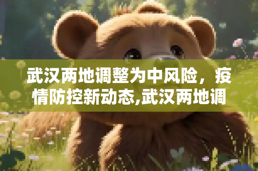 武汉两地调整为中风险，疫情防控新动态,武汉两地调整为中风险