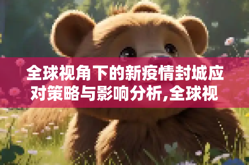 全球视角下的新疫情封城应对策略与影响分析,全球视角下的新疫情封城应对策略与影响分析