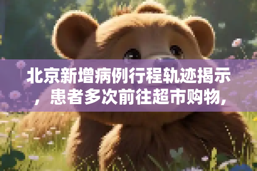 北京新增病例行程轨迹揭示，患者多次前往超市购物,北京新增病例行程轨迹:多次到超市