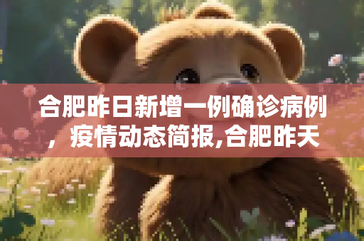 合肥昨日新增一例确诊病例，疫情动态简报,合肥昨天确诊一例的简单介绍