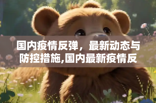 国内疫情反弹，最新动态与防控措施,国内最新疫情反弹情况