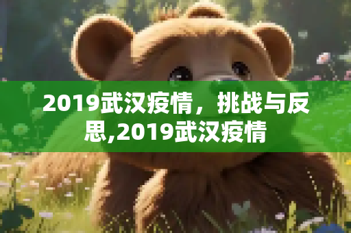 2019武汉疫情，挑战与反思,2019武汉疫情