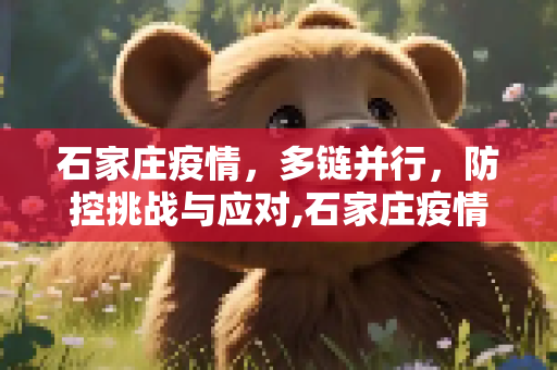石家庄疫情，多链并行，防控挑战与应对,石家庄疫情已现5条传播链
