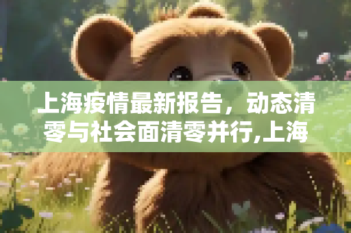 上海疫情最新报告，动态清零与社会面清零并行,上海疫情最新报告