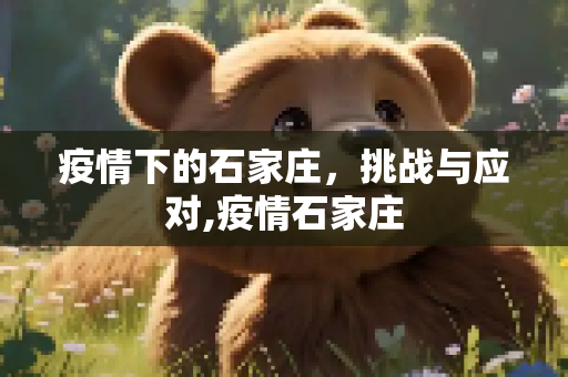 疫情下的石家庄，挑战与应对,疫情石家庄