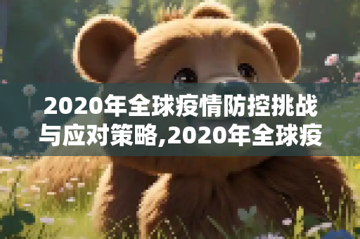 2020年全球疫情防控挑战与应对策略,2020年全球疫情防控挑战与应对策略