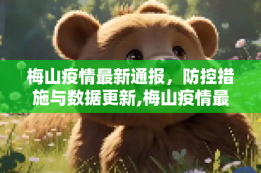 梅山疫情最新通报，防控措施与数据更新,梅山疫情最新通报