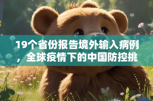 19个省份报告境外输入病例，全球疫情下的中国防控挑战,19个省份报告境外输入病例