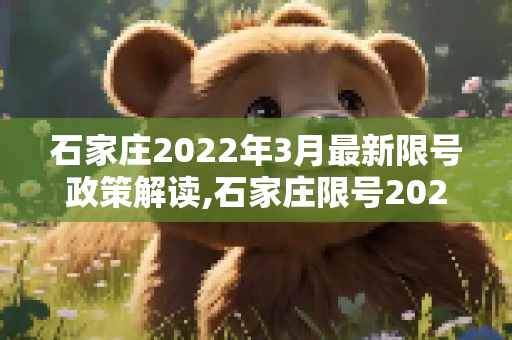 石家庄2022年3月最新限号政策解读,石家庄限号2022最新限号3月