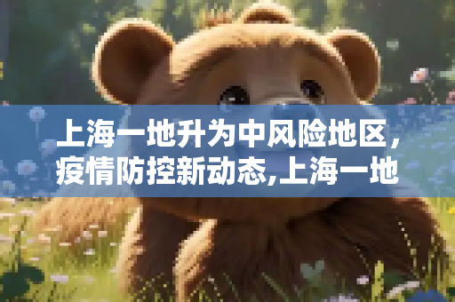 上海一地升为中风险地区，疫情防控新动态,上海一地升为中风险地区