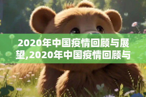2020年中国疫情回顾与展望,2020年中国疫情回顾与展望
