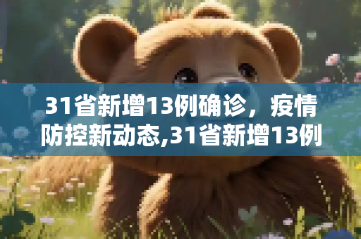 31省新增13例确诊，疫情防控新动态,31省新增13例确诊