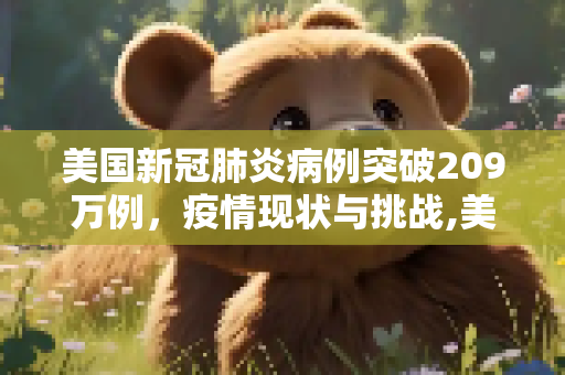 美国新冠肺炎病例突破209万例，疫情现状与挑战,美国新冠肺炎超209万例