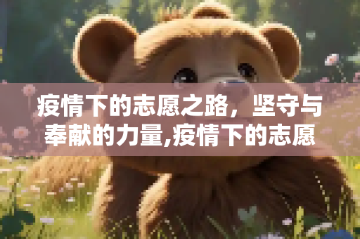 疫情下的志愿之路，坚守与奉献的力量,疫情下的志愿之路
