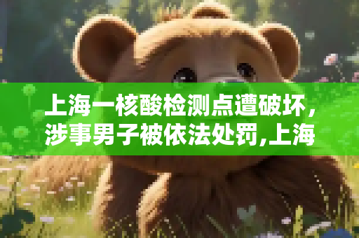 上海一核酸检测点遭破坏，涉事男子被依法处罚,上海一核酸点被砸涉事男子被处罚