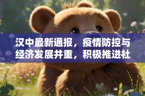 汉中最新通报，疫情防控与经济发展并重，积极推进社会稳定,汉中最新通报