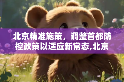 北京精准施策，调整首都防控政策以适应新常态,北京调整首都防控政策