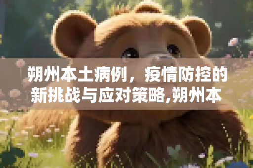 朔州本土病例，疫情防控的新挑战与应对策略,朔州本土病例