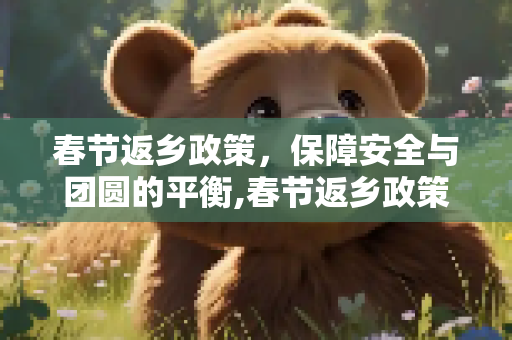 春节返乡政策，保障安全与团圆的平衡,春节返乡政策