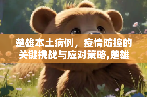 楚雄本土病例，疫情防控的关键挑战与应对策略,楚雄本土病例