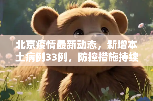 北京疫情最新动态，新增本土病例33例，防控措施持续加强,北京新增本土33例