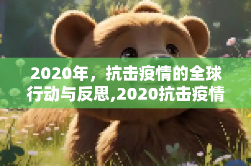 2020年，抗击疫情的全球行动与反思,2020抗击疫情