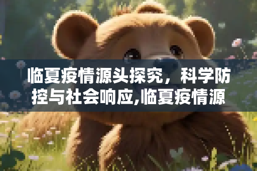 临夏疫情源头探究，科学防控与社会响应,临夏疫情源头