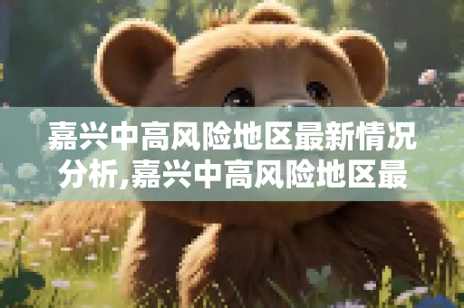嘉兴中高风险地区最新情况分析,嘉兴中高风险地区最新