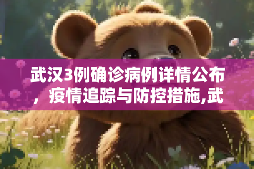 武汉3例确诊病例详情公布，疫情追踪与防控措施,武汉3例确诊病例详情公布