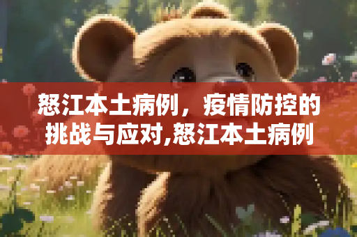 怒江本土病例，疫情防控的挑战与应对,怒江本土病例
