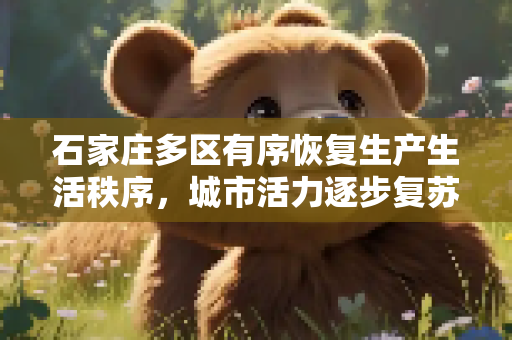 石家庄多区有序恢复生产生活秩序，城市活力逐步复苏,石家庄多区有序恢复生产生活秩序