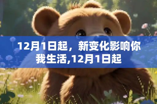 12月1日起，新变化影响你我生活,12月1日起