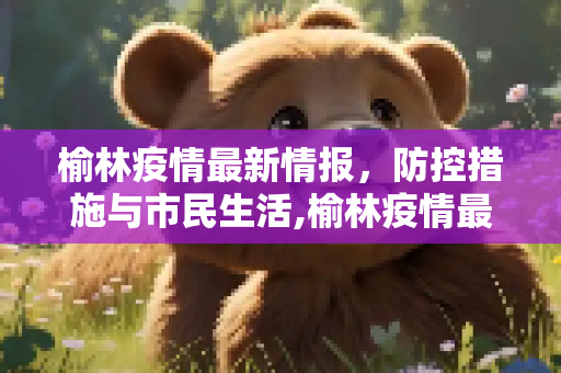 榆林疫情最新情报，防控措施与市民生活,榆林疫情最新情报